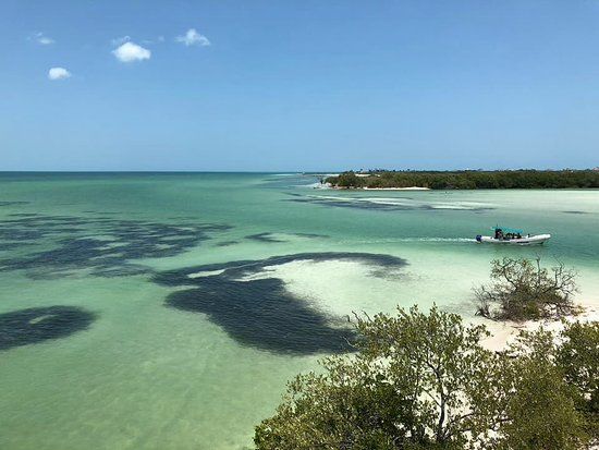 Playa Mosquito